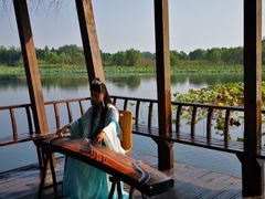 -溱湖国家湿地公园