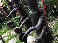 -青青世界