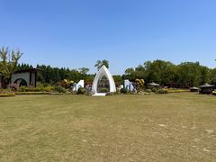 -东平国家森林公园