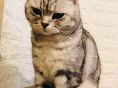 -平行世界·猫咖(首经贸店)