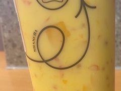 -雾与山茶(大禹城店)