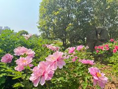 -洛阳市隋唐城遗址植物园