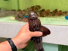 -至尊鲨鱼·原烹海鲜·新浙菜(拱宸桥店)