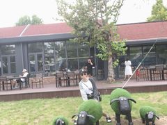 -日照海滨国家森林公园