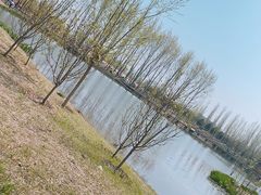 -东郊湿地公园