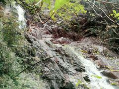 -九龙江国家森林公园