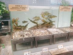 -金滏山烤肉·海鲜·火锅自助餐厅(襄阳万达店)