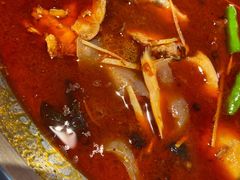 -冯记香辣兔火锅(茶店子总店)