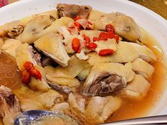 药膳鸡-新君凯酒家