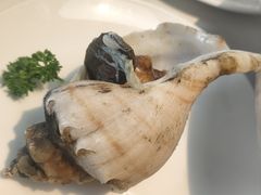 清蒸海螺-映像威海·威海宴(威高广场店)