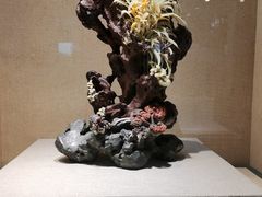 -浙江省博物馆(孤山馆区)