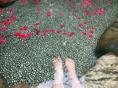 -厦门日月谷温泉渡假村