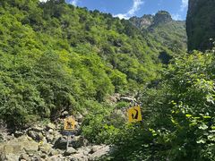-九峰山