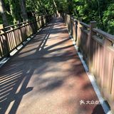 南京人很有福这个城市，有山有水