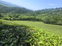 -敬亭山风景名胜区