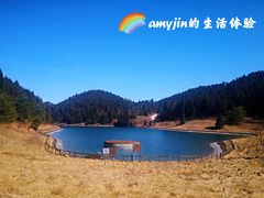 -武陵山森林公园