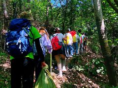 -秦岭风景区