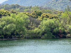 -杭州半山国家森林公园