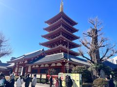 -浅草寺