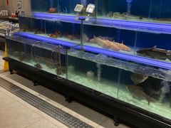 水产区-盒马鲜生(联投广场店)