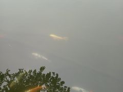 -国色天乡三期陆地乐园