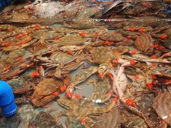 -一方渔歌蒸汽海鲜自助(文化路万达广场店)