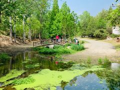 -白水寺森林公园