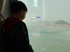 -枸杞岛