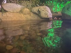 -天目湖御水温泉·度假酒店