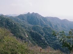 -大岭沟猕猴桃谷风景区