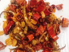 脆椒辣鱿鱼-兴国苑酒店