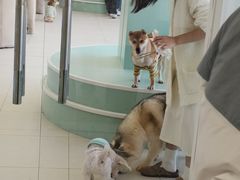 -怪兽屋·羊驼·猫咖·狗咖(俊华广场店)