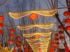-北戴河集发农业梦想王国