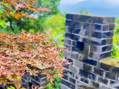 -都江堰景区