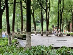-翠屏公园