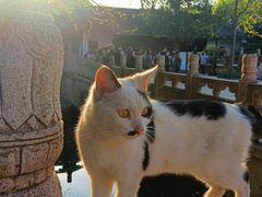 -西园戒幢律寺