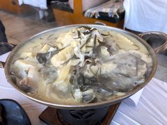 -京北渔家傲
