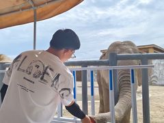 -新疆天山野生动物园