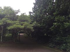 -汉拿树木园