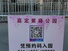 -嘉定紫藤园