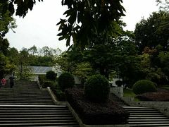 -中山市树木园