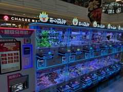 -万达广场(厦门湖里店)