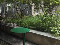 -SAFARI COFFEE