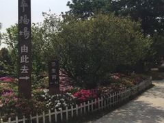 -秀丽东方
