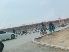 -丁香湖公园