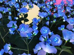 -合肥融创乐园