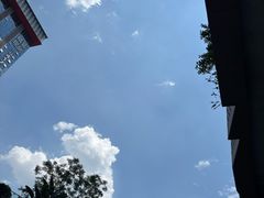 -成都市活水公园