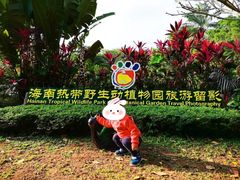 -海南热带野生动植物园