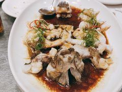 清蒸笋壳鱼-博多新记·粤菜(复兴店)