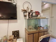-翡翠森林宠物火化殡葬(通州店)